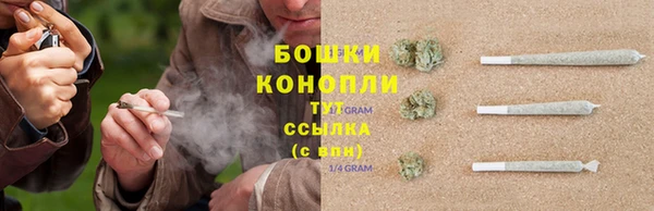 гашик Бородино