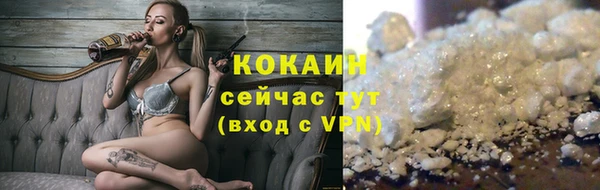 гашик Бородино