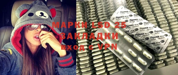 гашик Бородино