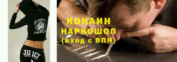 гашик Бородино