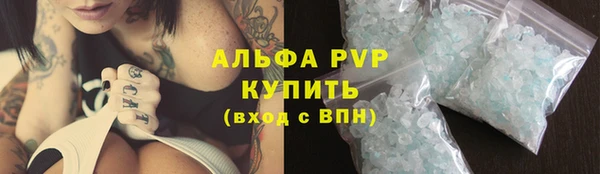 гашик Бородино