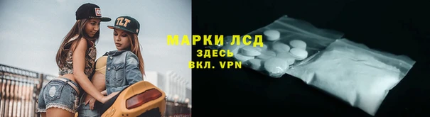 гашик Бородино