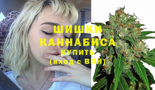 гашик Бородино