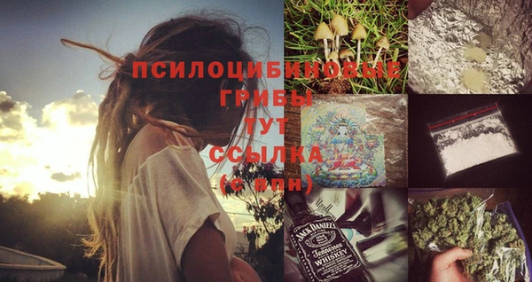 дурь Бронницы